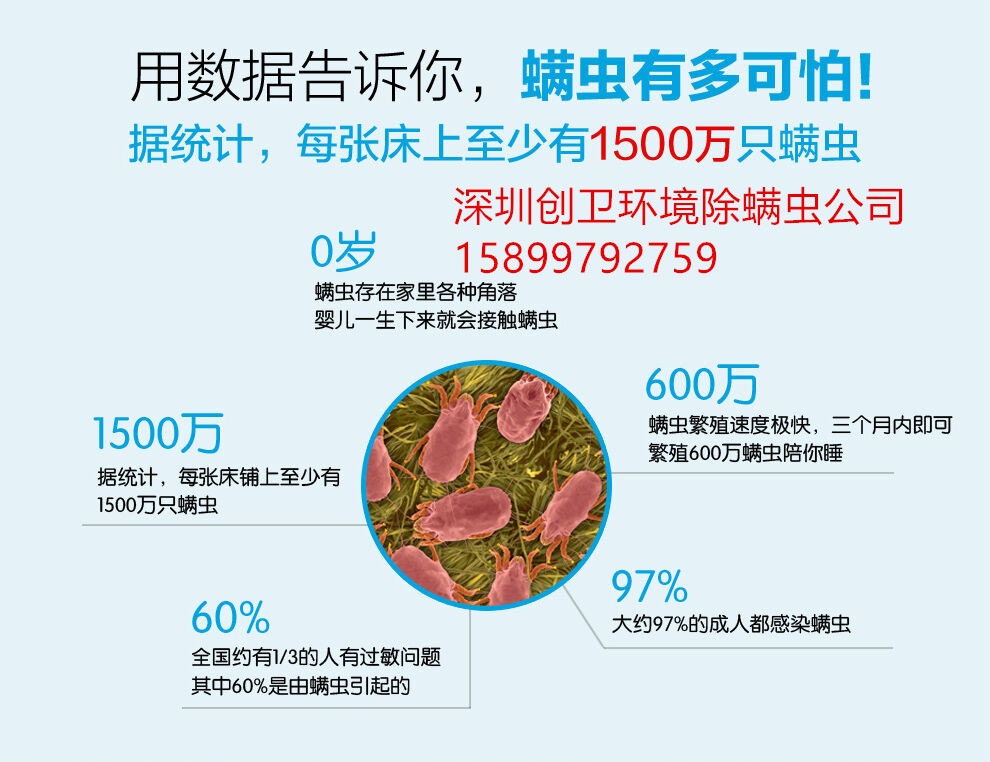 深圳除螨虫