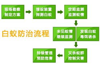 深圳白蚁防治公司对于白蚁的认识 白蚁防治