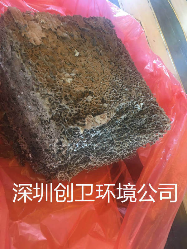 深圳虫害防治公司灭蛀虫 灭蛀虫