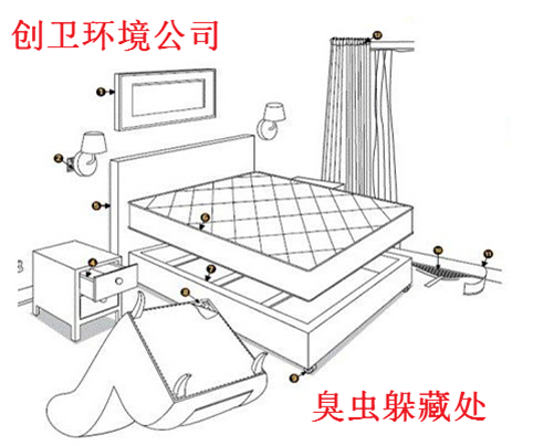 深圳灭臭虫哪家公司比较专业