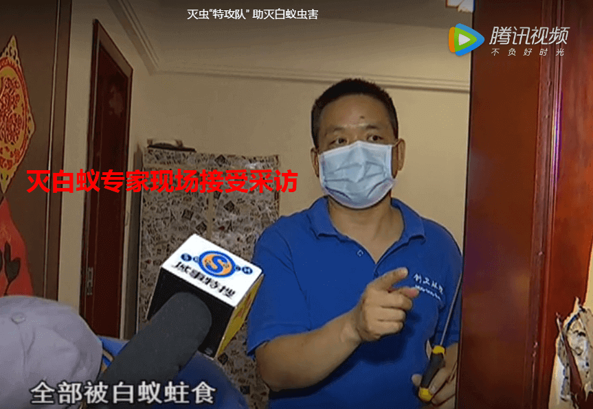 深圳灭白蚁专家告诉您防制白蚁侵入家中的方法