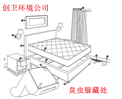 深圳灭臭虫公司哪家比较专业 灭臭虫