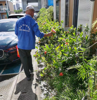 深圳灭蚊虫 深圳灭蚊虫公司 深圳消杀蚊虫公司 公司新闻